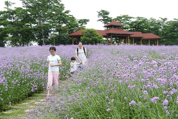 微信图片_20201230165316.jpg