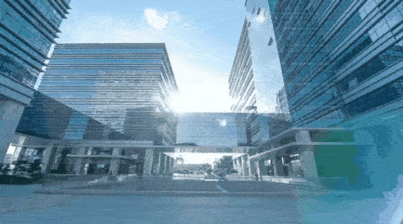 自贸区2.gif