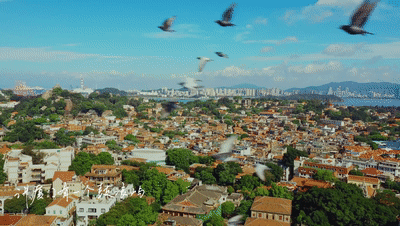 微信图片_20220804171020.gif