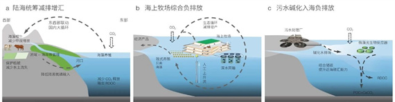 微信图片_20240226154602.jpg